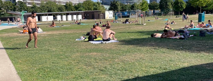 Piscine du Wacken is one of Sport à Strasbourg.