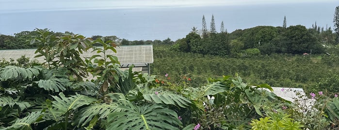 Heavenly Hawaiian Farms is one of Kailua-Kona.