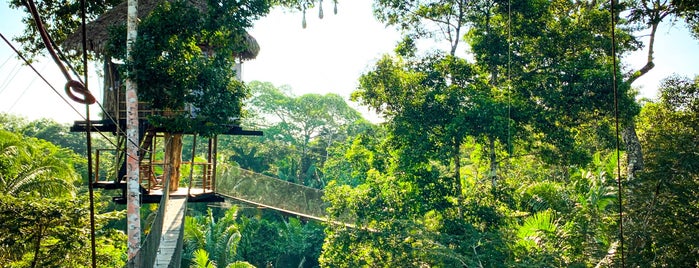 Treehouse Lodge is one of Sleep 😴.