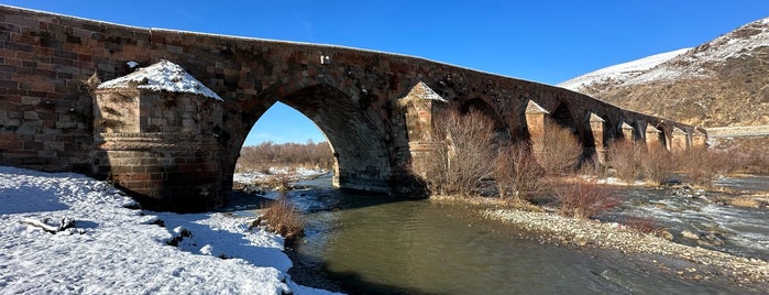 Tarihi Çobandede Köprüsü is one of Doğu Ekspresi.