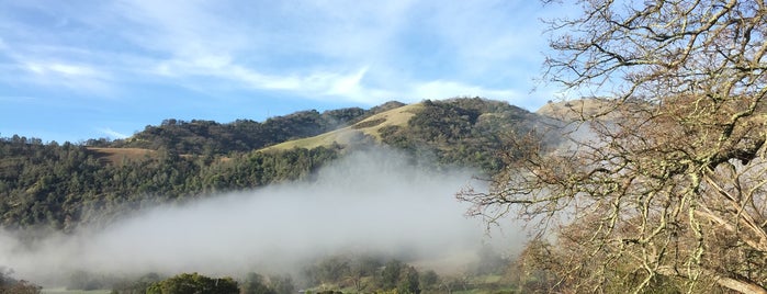 Sunol Ohlone Regional Park is one of Bay Area Hikes.