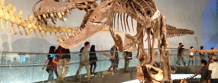 Fukui Prefectural Dinosaur Museum is one of 福井のToDo.