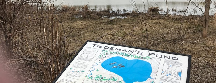 Tiedman's Pond is one of Places I want to go.