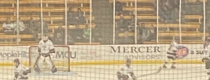 Lawson Ice Arena - Gabel Natatorium is one of Professional/College Arenas.