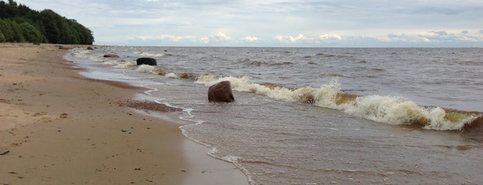 Пляж в Ушково is one of Spb.