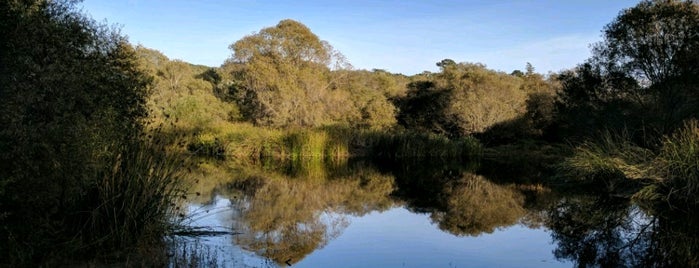 Frog Pond Wetland Preserve is one of Tempat yang Disukai Marni.