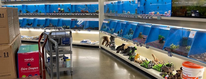 PetSmart is one of my places.