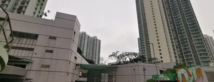 Tak Tin Plaza is one of Hong Kong.