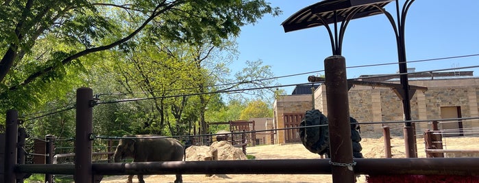 Elephant Outpost is one of The 15 Best Zoos in Washington.