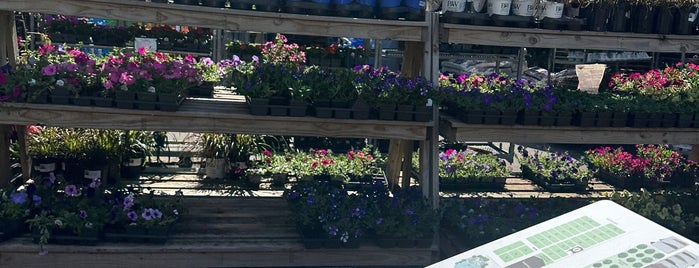 Merrifield Garden Center is one of Virginia/Maryland.