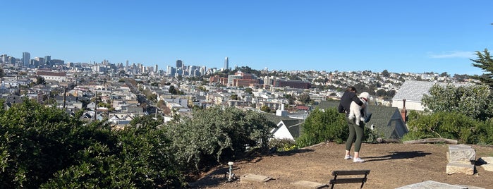 Peralta Mini Park is one of The 15 Best Dog Parks in San Francisco.