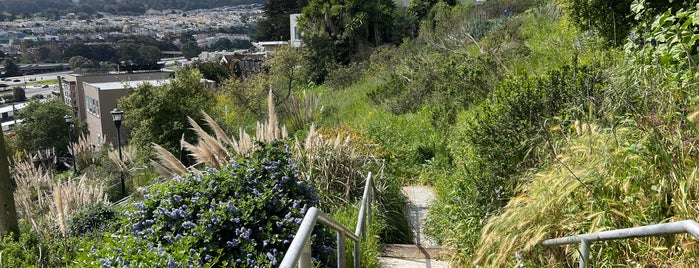 Bradford Street Stairway is one of Stairs of San Francisco.