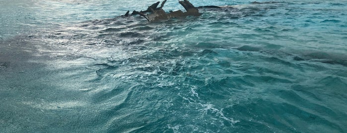 Sunken Plane is one of Caribbean.