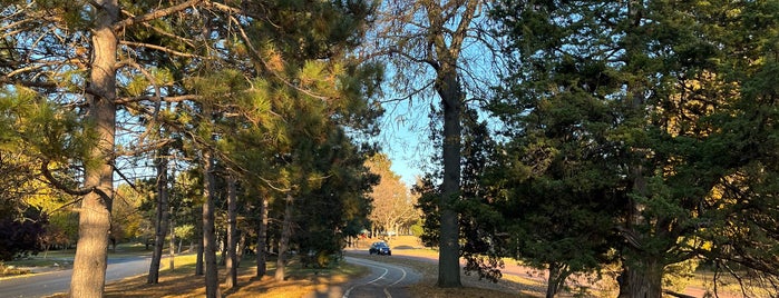 Theodore Wirth Memorial Pkwy is one of Places To Go.