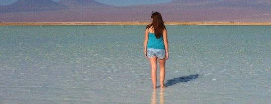 Laguna Tebinquinche is one of Chile.