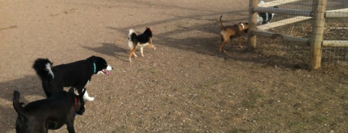 Horsetooth Dog Park is one of Locais curtidos por Cosmo.