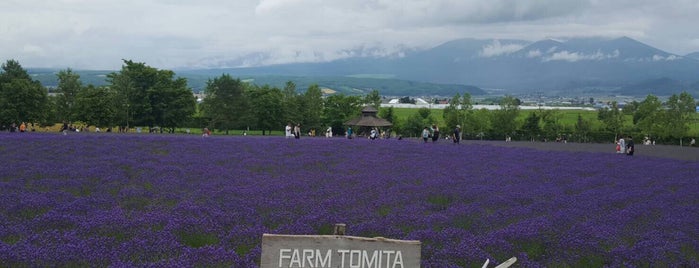 Farm Tomita is one of Hokkaido.