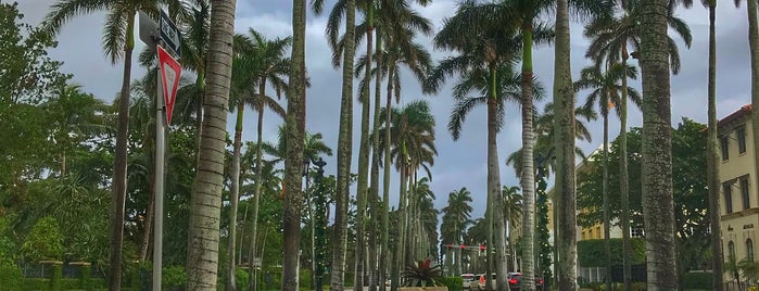Palm Beach Atlantic University is one of University.