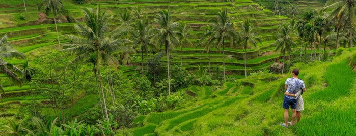 Tegallalang Rice Terraces is one of Bali.