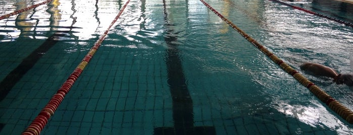 Плувен комплекс Спартак (Spartak Swimming Complex) is one of 83さんのお気に入りスポット.