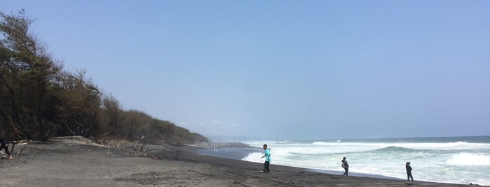 Pantai Goa Cemara is one of WISATA.