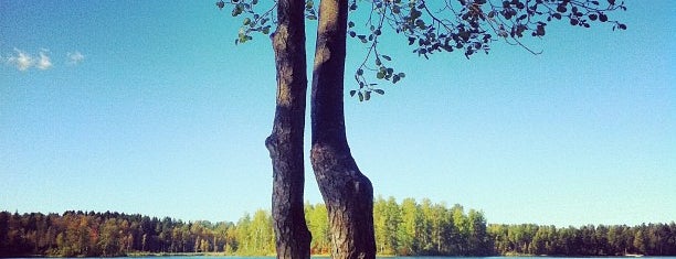 Озеро Гупуярви (Троицкое) is one of Ivan 님이 좋아한 장소.