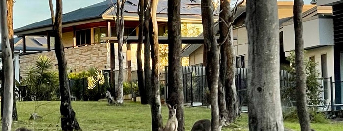 Brookwater Golf Course is one of Fun Stuff for Kids around Queensland.