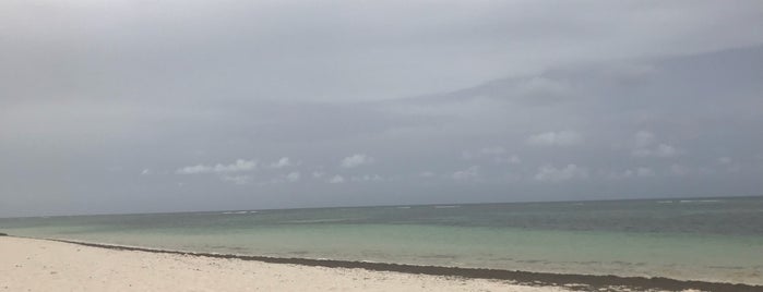 Anegada Beach Club is one of Brentさんの保存済みスポット.
