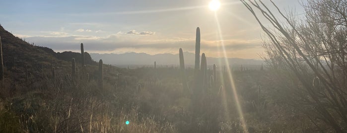 Linda Vista Trail is one of Things to do/Places to see 🏃🏻🏃🏻‍♀️💁🏼👩🏼‍🎨.