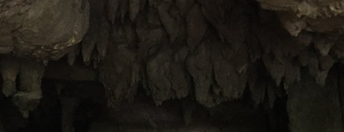 Waipu Cave is one of New Zealand.