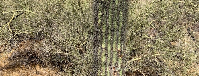 South Mountain Park - Pima Canyon Trailhead is one of Phoenix AZ.