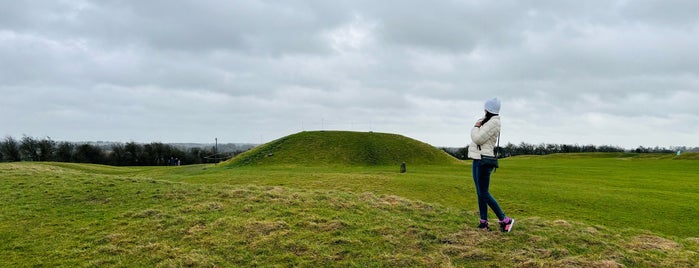 Hill of Tara is one of Go back to explore: Ireland.