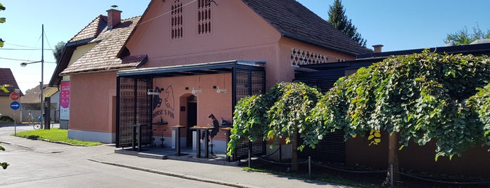 Horse's Pub is one of Discovering Slovenia.