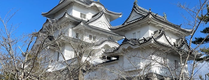 Iga Ueno Castle is one of สถานที่ที่บันทึกไว้ของ Shigeo.