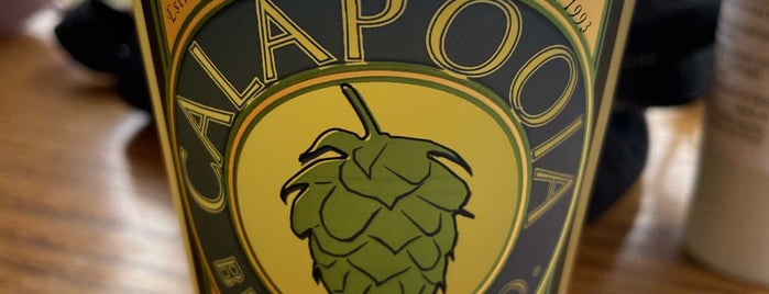 Calapooia Brewing Company is one of Brews in the Valley.