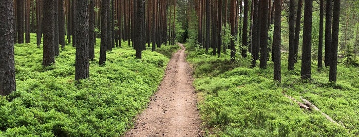 Raeküla Terviserada is one of Spordisaalid Pärnumaal.