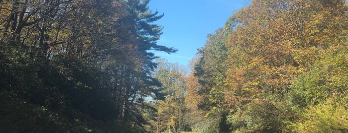 Blue Ridge Parkway is one of Virginia.