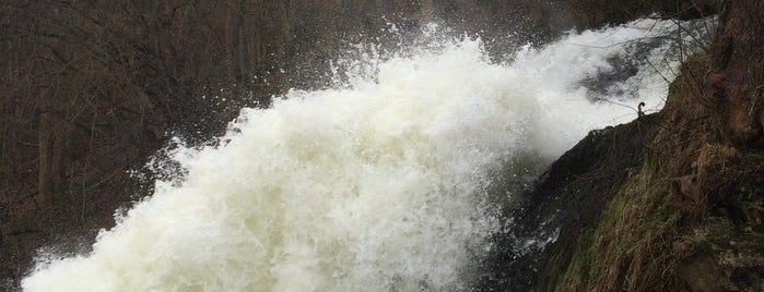 Cascades de Coo is one of Not Visited.