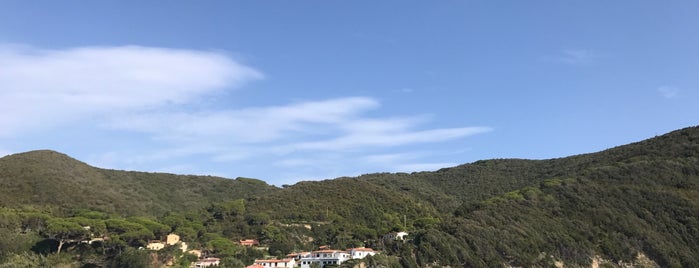 Baia di Viticcio is one of Elba.