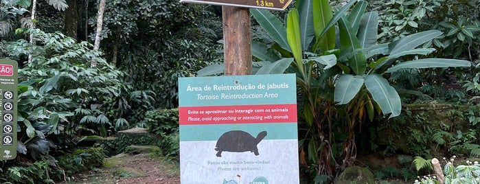 Parque Nacional da Tijuca is one of Brasil.
