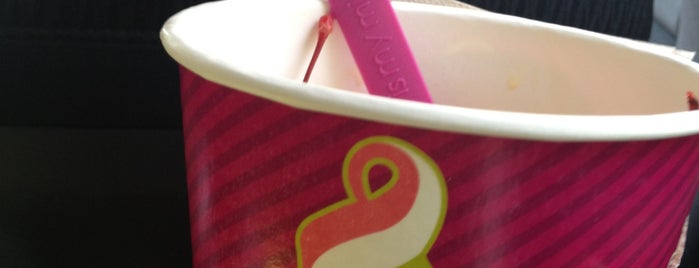 Menchie's is one of The 11 Best Ice Cream Parlors in Saint Paul.
