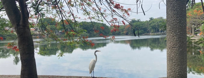 Paseo De Las Ilusiones is one of Tabasco.