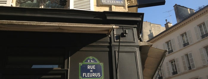 Rue de Fleurus is one of PARIS.