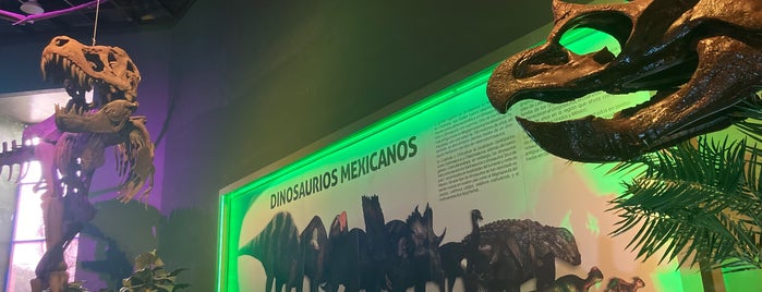 Museo de Historia Natural José Narciso Rovirosa is one of Arte.