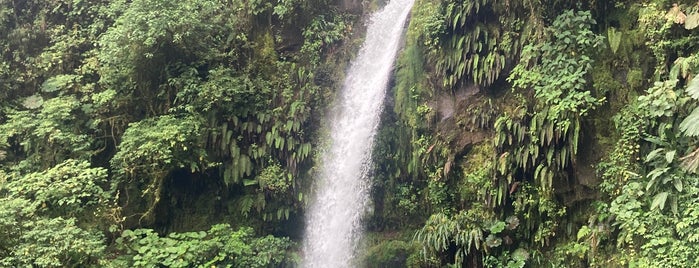 Catarata de La Paz is one of Costa Rica.