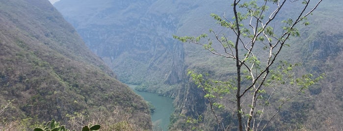 Mirador La Ceiba is one of Latin America.