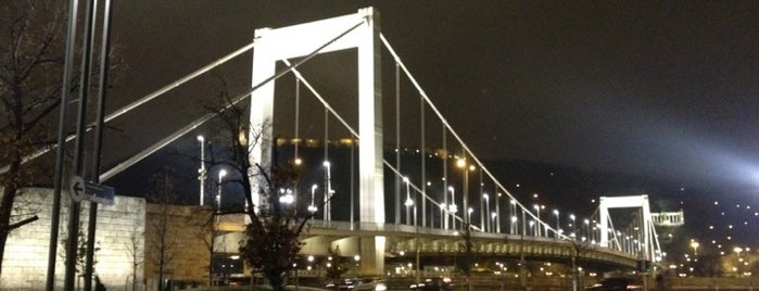 Erzsébet híd, pesti hídfő is one of Budapest City Badge -Gulyás City.