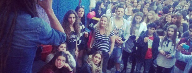 Maktub is one of Madeira.