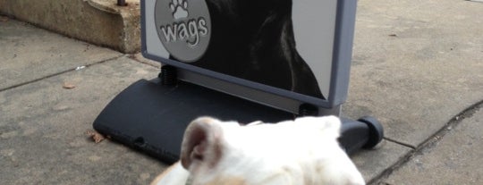 WAGS Wash and Groom Spa is one of new York.