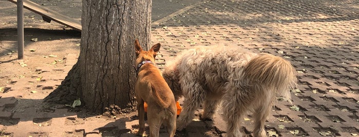 Parque CANINO is one of Cachorros.